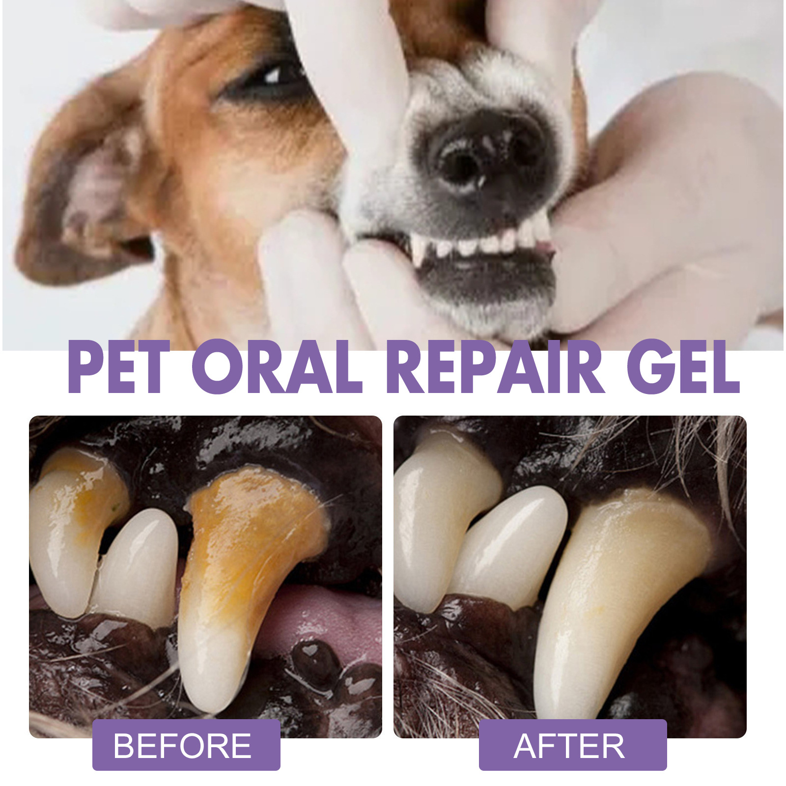 Pet Oral Repair Gel Puppy Tart - đánh giá và giá Teeth Whitening Mouthwash